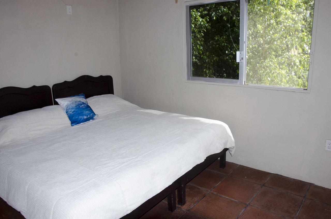 Las Iguanas Hotel San Francisco  Room photo